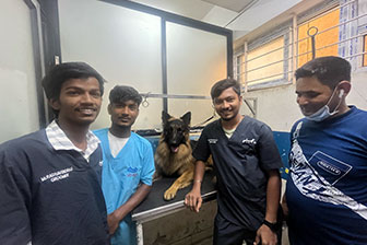 Instagram post showcasing pet care