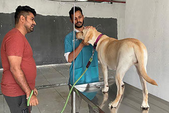 Instagram post showcasing pet care